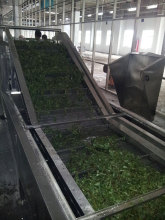 Candied fruit dryer equipment
