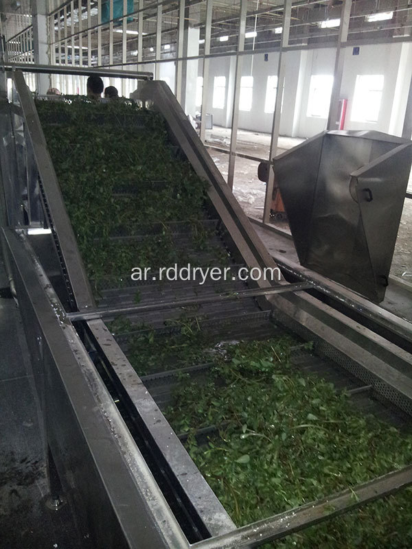 Conveyor Mesh Belt Dryer المزود