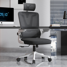 Ergonomic Swivel Back Support Office Chair for Visitors