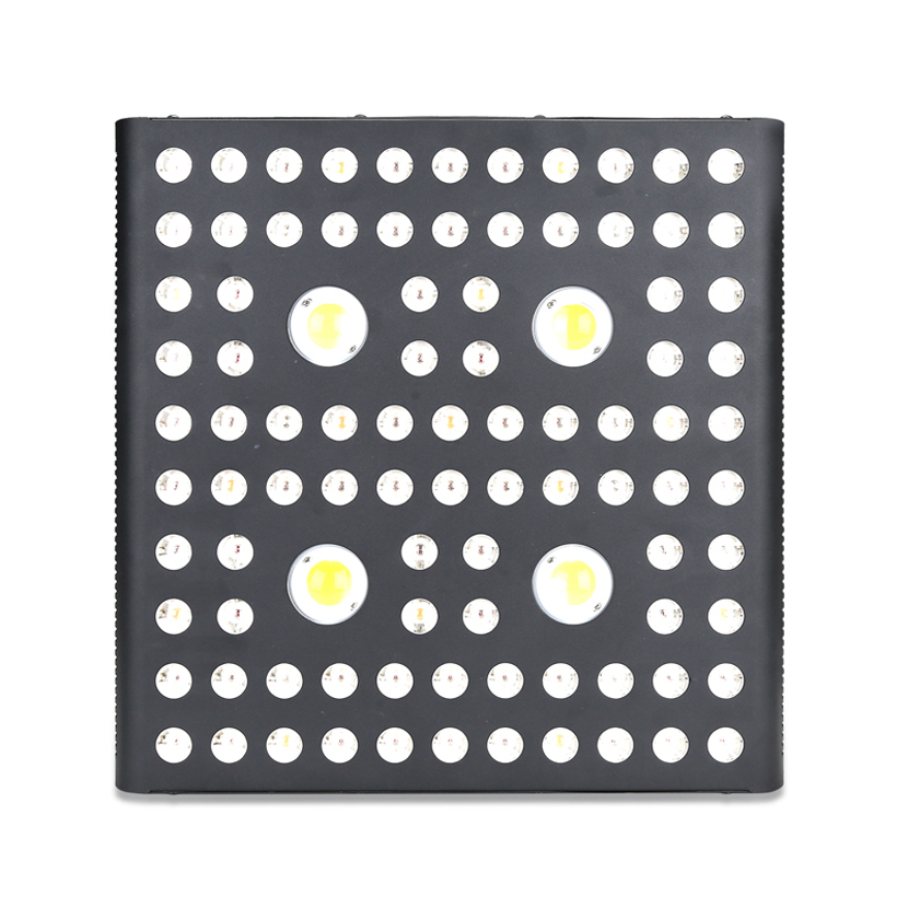 2020 Kanada Terlaris LED Grow Light 2000w