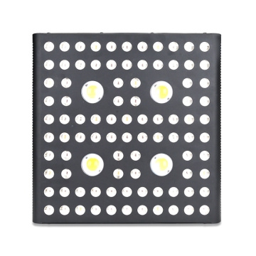 2020 แคนาดาขายดีที่สุด LED Grow Light 2000w