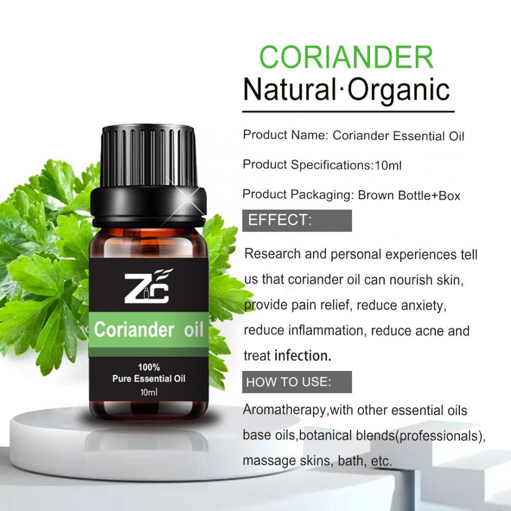 Corander Oil Essential Oil Private Rótulo personalizado Melhorar a memória