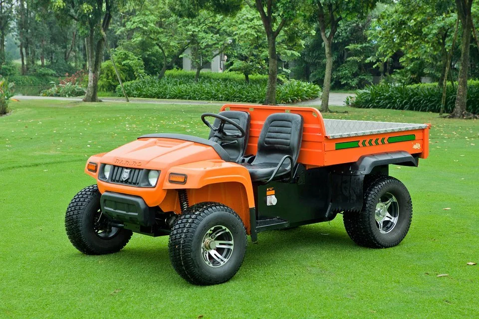 Manufacturer of Ce Certification 4 Wheel UTV Buggy