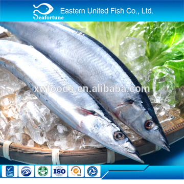 Whole Round pacific saury (sanma)