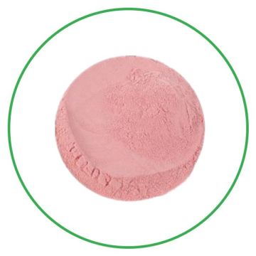 Hot sale 100% pure organic watermelon powder