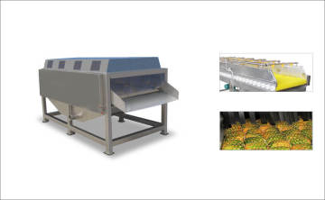 Fruit brush spraying machine