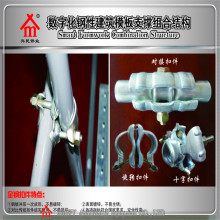 Fixed Double Pipe Clamps/Swivel Pipe Clamps/Connecting Pipe Clamps Scaffolding Coupler