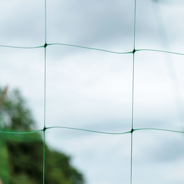Filet de treillis en plastique Plastic Trellis Net