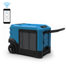 Commercial Water Damage Restoration: Crawl Space Dehumidification Solutions