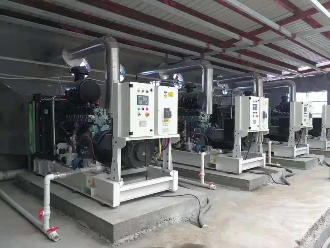 50kVA 75kVA 100kVA Smaller Power Open Type Bio Gas Generator Mass Genset