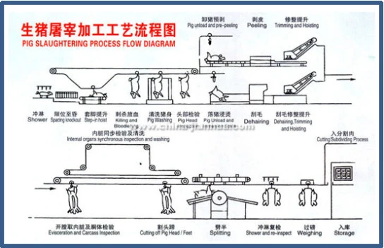 Hog Swine Pig Slaughter House Equipment Pork Meat Process Line