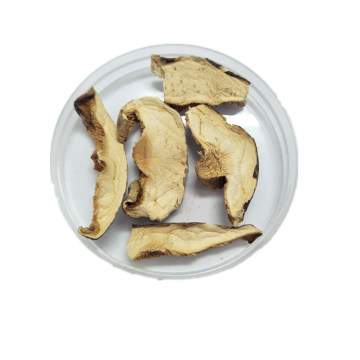 Wholesale Washed Dried Mushroom Slices Dried Champignon