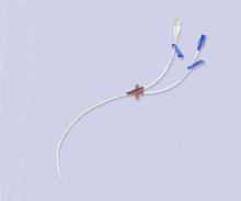 Disposable Double Lumen Central Venous Catheter/CVC (Adult)