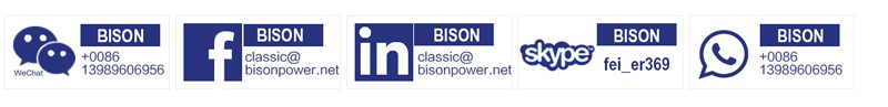 BISON(CHINA) 4kw 5kw Gasoline Generator Spare Parts 188F High Voltage Coil BS390 Price