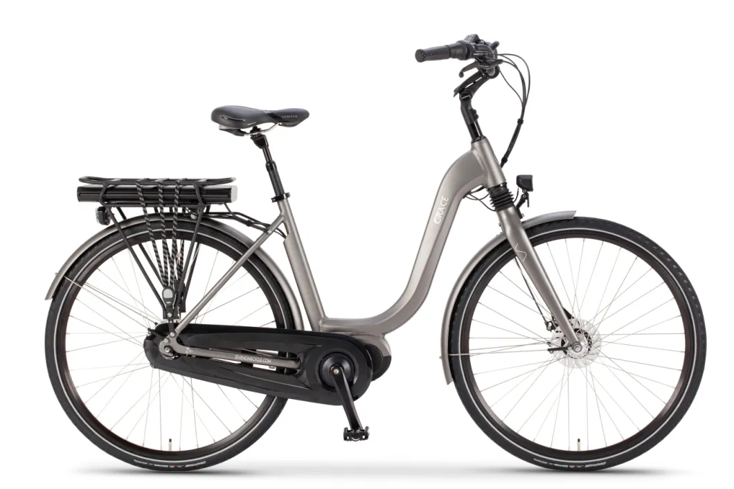 27.5 Inch City Road Electric Bicycle 13ah 36V with LG Cells