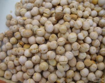 Dried Beans -Chickpeas