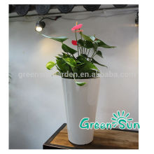 unique flower pots,single flower vase