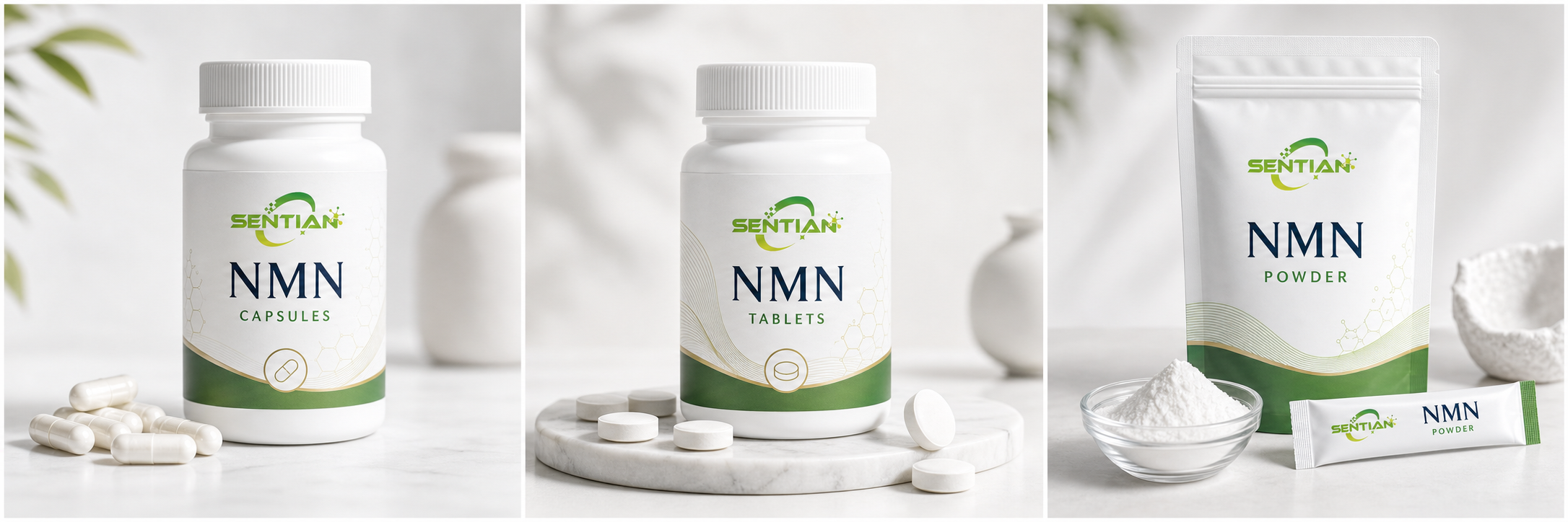 NMN.1 NMN.1
