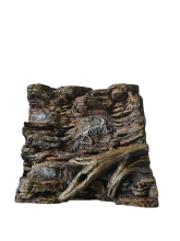 Dinosaur Fossil Tree Combo Backdrop for Exotic Pets