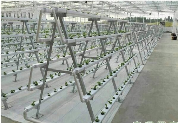 nft hydroponics