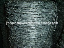 Zinc Coated Barbed Wire