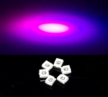 UV LED 385nm SMD Lights 3528 Purple LED