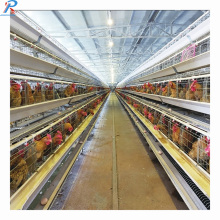 Affordable Steel Structure Solutions: Farm Sheds, Poultry Sheds, Broiler Houses, Chicken Houses & Industrial Poullaiers