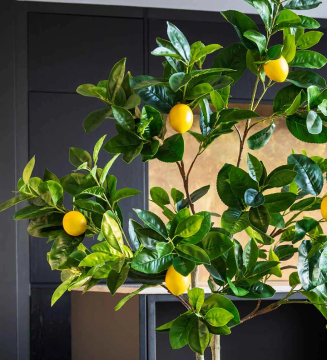 Artificial Lemon Tree for Home Decor & Bonsai
