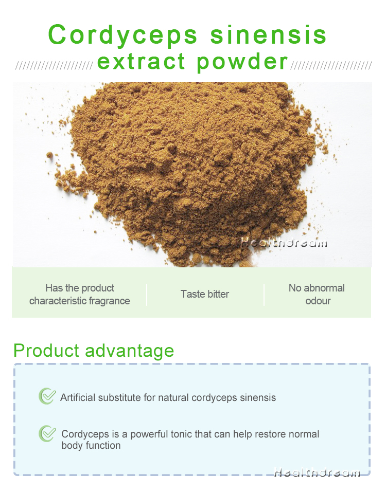 Cordyceps Sinensis Extract Powder CS-4