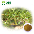 White Willow Bark Extract Salicin Powder