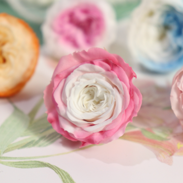 Wholesale Preserved Austin Roses for Wedding Decor