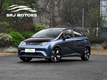 BYD Dolphin Honor Edition