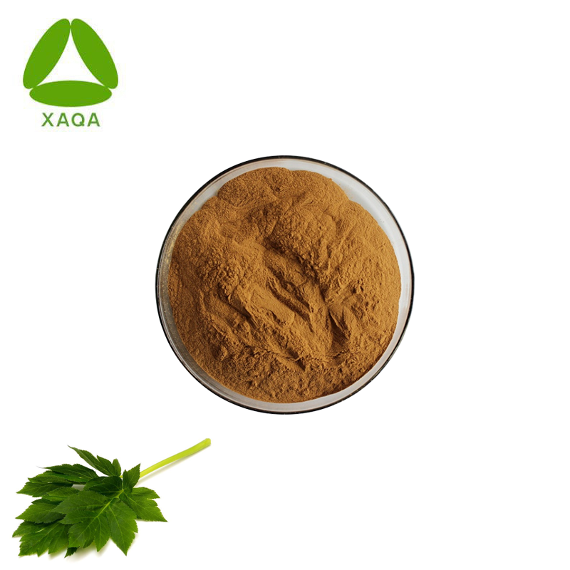 FUNDO ASHITABA EXTRACT POWDER/Angelica Keiskei Extrato