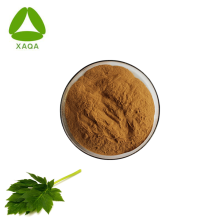 Supply Ashitaba Extract Powder/Angelica Keiskei Extract