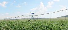 Automatic Center Pivot Sprinkler Irrigation System