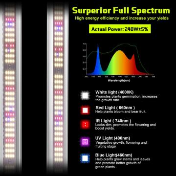 Aglex 240W 4 LM281B/ LM301B/ LM301H 660NM RED UV IR LED成長光栽培栽培水耕栽培野菜ブルーム