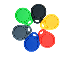 Waterproof 125kHz RFID Tag/Keyfob for Enhanced Door Access Control Systems