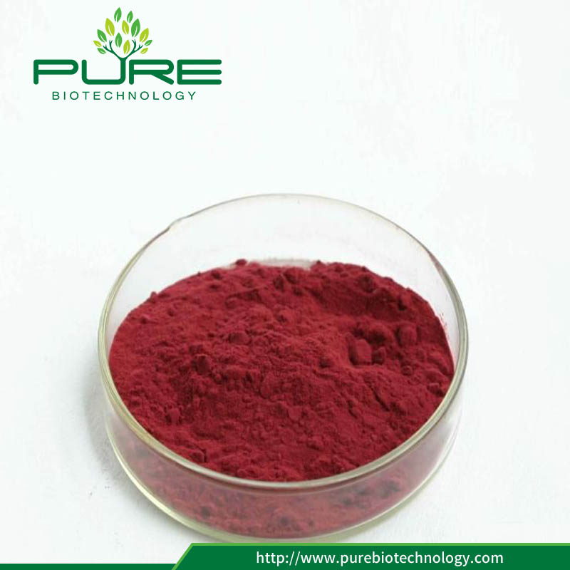 لا تشعيع 10: 1 استخراج التوت البري مع انخفاض السعر No Irradiation 10:1 cranberry extract with low price