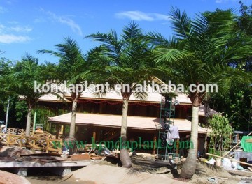 Artificial coconut palm tree,Cheap artificial trees