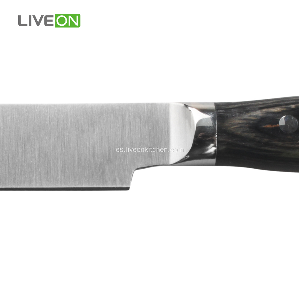 4 piezas de cuchillo de carne con mango de madera Pakka