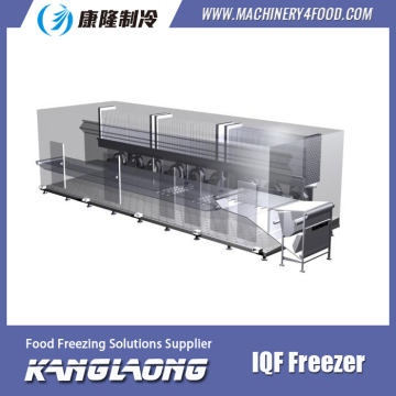 New Design Frozen Chicken Leg Quarters Instant Freezer