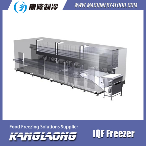 Hot Selling Quick Freeze Machine