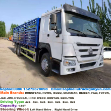 SINOTRUK HOWO 6x4 Cargo Truck