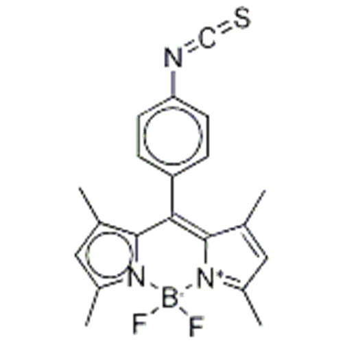 BODIPY ISOTHIOCYANATE CAS 1349031-04-4