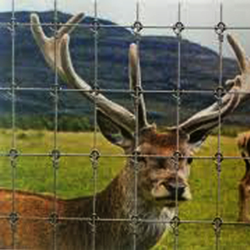 Fixed Knot Field Fence