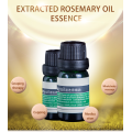 Rosemary Oil Rosmarinus officinalis 100% Aromaterapi Yağı