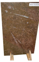 Red Fossil Marble