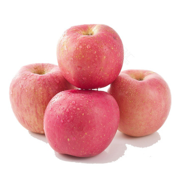 fresh fuji apples  China fuji yantai fuji