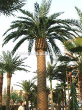 hot sale artificial date palm tree fiberglass palm tree sale fake tree