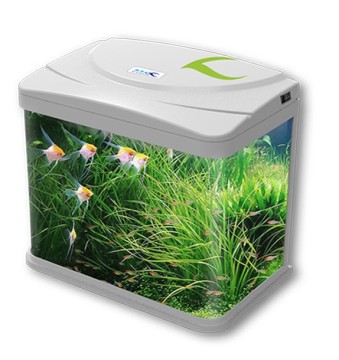 LED Desktop Aquarium